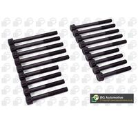 Cylinder Head Bolt Set Fits Kia Sedona BGA BK3306