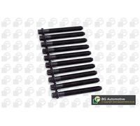 Cylinder Head Bolt Set Fits Renault Volvo Clio Espace Kangoo BGA BK6375