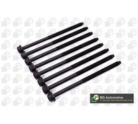 Cylinder Head Bolt Set Fits Seat Skoda VW Ibiza Fabia Fox Polo BGA BK3365