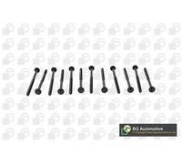 Cylinder Head Bolt Set Fits Volvo C30 C70 S40 S60 S80 V40 V50 V60 V70 BGA BK2304