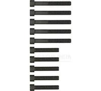 REINZ 14-32039-01 Bolt Kit, cylinder head