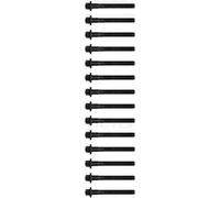 Reinz Cylinder Head Bolt Kit 14-32109-03 Male Torx for Mercedes-Benz W210/W211/S210/S211/W220
