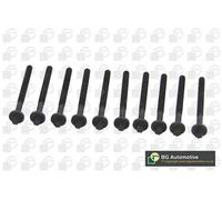 BGA BK4316 Head Bolts