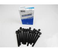 Cylinder Head Bolts 14-32047-02 Reinz Set Kit 068103384A12X 132887112X Quality