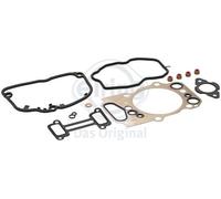 Cylinder Head Gasket Kit With Valve Stem Seals Fits SCANIA ELRING 313.211