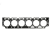Cylinder head gasket REINZ 61-37570-10 for SAME IRON 7.146 2006-2009
