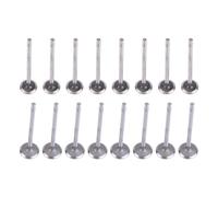 Cylinder Head Intake Exhaust Valve Set 1320100Q0M 1320200Q0N for Juke Pulsar Qashqai 1.2 DIG-T