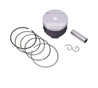 Cylinder Head Piston Ring Kit For TTR250 93-94 For TT-R250 For Raid 94-95 7.3cm 73.25mm 74mm STD~+100 Motorcycle Engine Piston Rings(1.0 size)