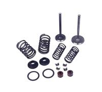 Cylinder Head Valve Kit INTAKE & Valves Set With Valve Spring Kit For GY6 150cc 157QMJ Scooter Moped ATV