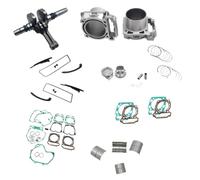 Cylinder Kit Crankshaft Assy Plain Bearing Gasket Kit 800 420219665 420219745 420219746 Compatible With