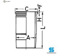 Cylinders/Pistons KOLBENSCHMIDT 89596110