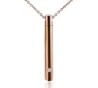 Cylinder Pendant Pet Necklace for Cat Dog Memorial Container Holder Memorial Pet Titanium Steel Cylindrical with Diamond Necklace Pet Titanium Cylindrical with Diamond Necklace