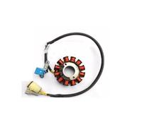 Cylinder Piston Kit Cylinder Piston Camshaft Time Chain Cdi Gasket Clutch Balance Shaft For Kayo Nc250 For K6 T6 For Zongshen 250cc Engine For Rx3 ZS177MM(Stator)