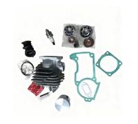 Cylinder Set Big Bore 44.7MM with Crankshaft Bearings Oil Seal Gaskets Spark Plug Fit for MS260(Type A)