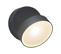 Cylindl outdoor Wall Mount Light Black die-cast aluminum matte lamp body Wall Lamp 4000K warm white light Wall Sconce The lamp body can be turned to design ideas up and down lig