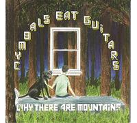 Cymbals Eat Guitars - Why There Are Mountains