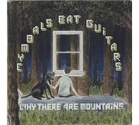 Cymbals Eat Guitars - Why There Are Mountains [VINYL]