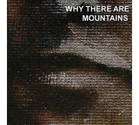 Cymbals Eat Guitars - Why There Are Mountains [Vinyl LP] [VINYL]