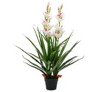 Cymbidium Orchid 100cm Green Fabric Blooms Plastic Leaves Potted Realistic Table