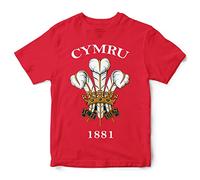 Cymru 1881 Rugby Kids T Shirt, Wales Birthday Gifts for Welsh Rugby Fan, Prince of Wales's Feathers Tournament Outfit Gift Idea, Nations Shirts for Boys and Girls, 9-11 Years, Red