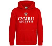 Cymru Am Byth Hoodie Unisex Men Women Welsh Feathers Nations Wales Supporters Hooded Top