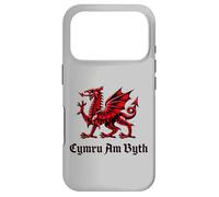Cymru am Byth Wales Cymraeg Red Welsh Dragon Case for iPhone 17 Pro