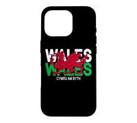 Cymru Am Byth Welsh Dragon Wales Case for iPhone 16 Pro