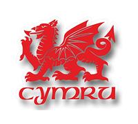 Cymru Draig Ddraig Goch Welsh Dragon Decal Caravan Motorhome Boat Car Sticker