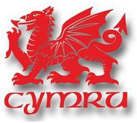 Cymru Draig Ddraig Goch Welsh Dragon Decal Caravan Motorhome Boat Car Sticker