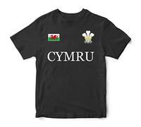 Cymru Flag Badge T Shirt Kids Unisex Prince of Wales Feathers Boy Girl Rugby Tee Top, 5-6 Years, Black