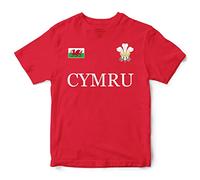 Cymru Flag Badge T Shirt Kids Unisex Prince of Wales Feathers Boy Girl Rugby Tee Top, 5-6 Years, Red