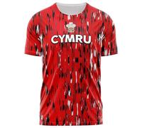 Cymru Retro Rugby T Shirt for Men 3D Inspired Print Top Welsh Feathers Wales Can Be Personalised Custom Name Number Tee, XL, Red