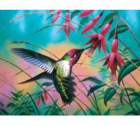 Cynthie Fisher - Hummingbird Haven