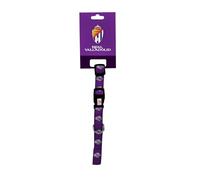 CyP Brands - Real Valladolid, Pet Accessories, Size L, Official Product