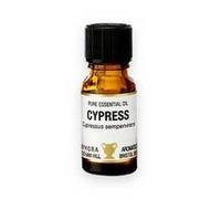 Cypress Pure Essential Oil 10ml in amber glass bottle by Amphora Aromatics