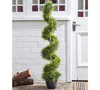 Smart Garden Cypress Topiary Twirl, Size 120cm