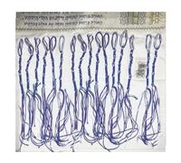 Cyprinus Carpio Hebrew Tassel Pants/Jeans Tzitzits Tassels 15 Inch Prayer Shawl Accessories Fringes Home Decor Tassels with Hanging Hooks (16, Purple)