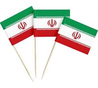 CYPS 100 Pcs Iran Flag Iranian Toothpick Flags, Small Mini Stick Cupcake Toppers Iranian Flags,Country Picks Party Decoration Celebration Cocktail Food Bar Cake Flags