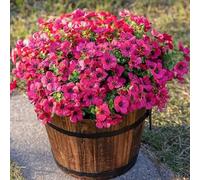 Cyqfei Intrinsici Flowers, Rainproof UV Resistant Lifelike Artificial Flowers for Outdoors - Never Faded, Don't Require Water, Fertilizers, Trimmed, Not Affected by Natural Weather (12, Rose Roland)