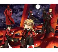 CYQFEZ 1000 Pieces Puzzles ，Difficult Jigsaw,Japanese Animes Fates/Stay Night ，Family Stress Reduction Toys, Adults Fun Games ，Wall Art Decoration,Yz68Wz