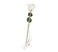 Cyrank 24k Golden Rose, Gold Dipped Real Rose with Stand, 1 Count, Classic Style, Golden Variety, Gold Plated Artificial Rose, Perfect for Valentine's Day