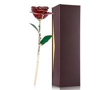 Cyrank Gold Dipped Real Rose, 24K Gold Forever Preserved Red Rose Flowers Romantic for Valentine's Day Mothers Day Wedding Anniversary Birthday Women Mom Wife Girlfriend