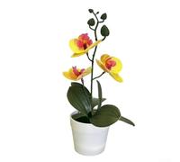 CYRENT Artificial Orchid Flower Bonsai Realistic Three-leaf Phalaenopsis Bonsai in White Pots For Home Office Garden Decoration(Yellow)