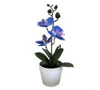 CYRENT Artificial Orchid Flower Bonsai Realistic Three-leaf Phalaenopsis Bonsai in White Pots For Home Office Garden Decoration(Blue)