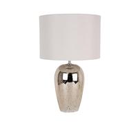 Cyrus Dual Lit Speckled 47cm Glass Table Lamp Pagazzi Multi One Size