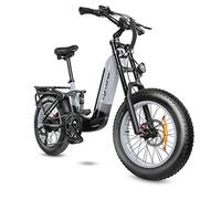 Cyrusher Aluminum Electric Bike Kommoda 3.0, 20inch 250W 25km/h 48V 20Ah 120km, Air Suspension, 7 Speed, Hydraulic Disc Brakes (Kommoda1.0 48V14ah, Grey)