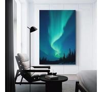 CYSEHKRBL Aurora Dancing in The Night Sky Canvas Painting Wall Decor Suitable for Bathroom Decoration Poster Home Decoration Funny Animal Decoration Frameles 16x24inch(40x60cm)