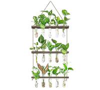CYSYins Wall Hanging Propagation Station with Wooden Stand 5 Glass Test Tubes 3 Tiered Planters Terrarium for Home Office Plant Hanger Flower Vases Decor Hydroponic Cuttings