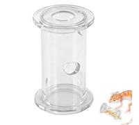 CYUXING Bearded Dragon Feeder Toy Decor, Scientific Design Easy to Use, Bearded Dragon Enclosure Decorations Accessories Tool for Chameleon Small Animals Gecko Lizard