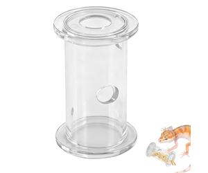 CYUXING Bearded Dragon Feeder Toy Decor, Scientific Design Easy to Use, Bearded Dragon Enclosure Decorations Accessories Tool for Chameleon Small Animals Gecko Lizard
